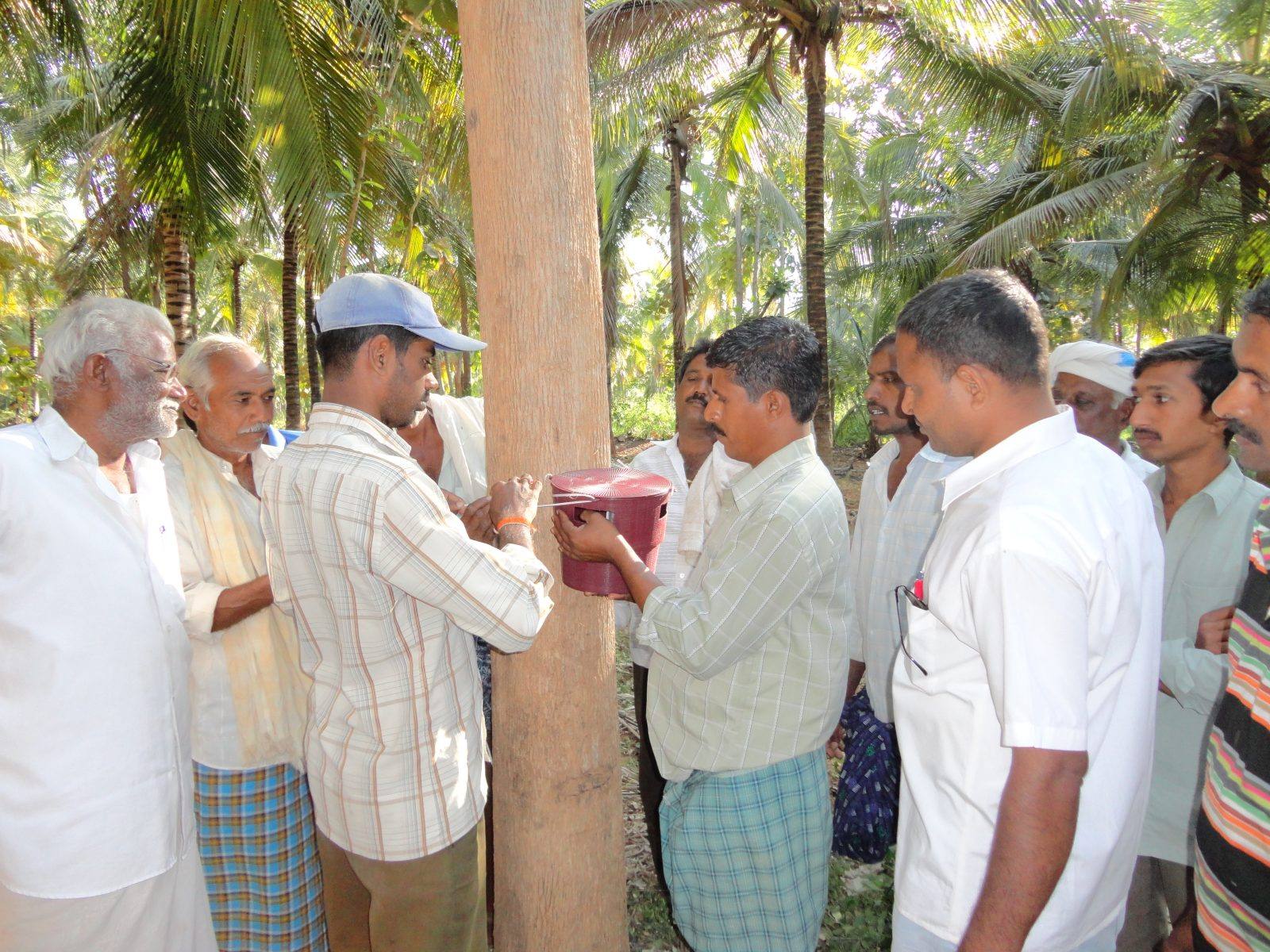 Demonstration of a pheromone trap